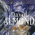 Cover Art for 9781840326826, Skellig by David Almond