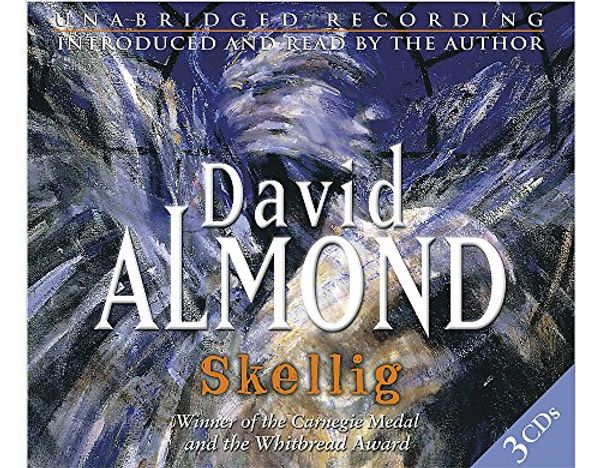 Cover Art for 9781840326826, Skellig by David Almond