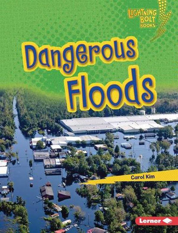 Cover Art for 9781728441450, Dangerous Floods by Carol Kim