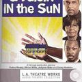 Cover Art for 9781580818001, A Raisin in the Sun by Lorraine Hansberry