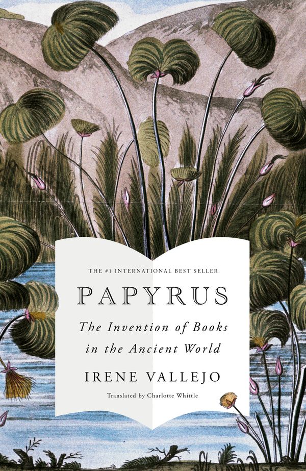 Cover Art for 9781529343977, Papyrus by Irene Vallejo