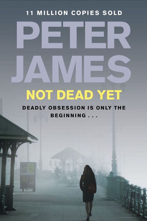 Cover Art for 9780330515573, Not Dead Yet by Peter James
