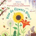 Cover Art for 9781409582137, First Lift-the-Flap Questions and Answers How Do Flowers Grow? by Katie Daynes