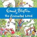 Cover Art for 9781444920826, The Enchanted Wood by Enid Blyton