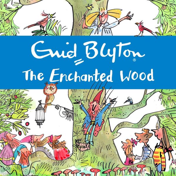 Cover Art for 9781444920826, The Enchanted Wood by Enid Blyton