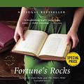 Cover Art for 9780316353571, Fortune's Rocks by Anita Shreve