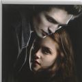 Cover Art for 9789022557785, Twilight (Twilight zone (1)) by Stephenie Meyer