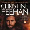 Cover Art for 9780062019493, Dark Guardian by Christine Feehan