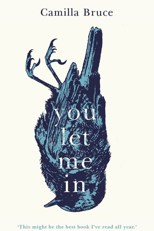 Cover Art for 9781787633179, You Let Me In by Camilla Bruce