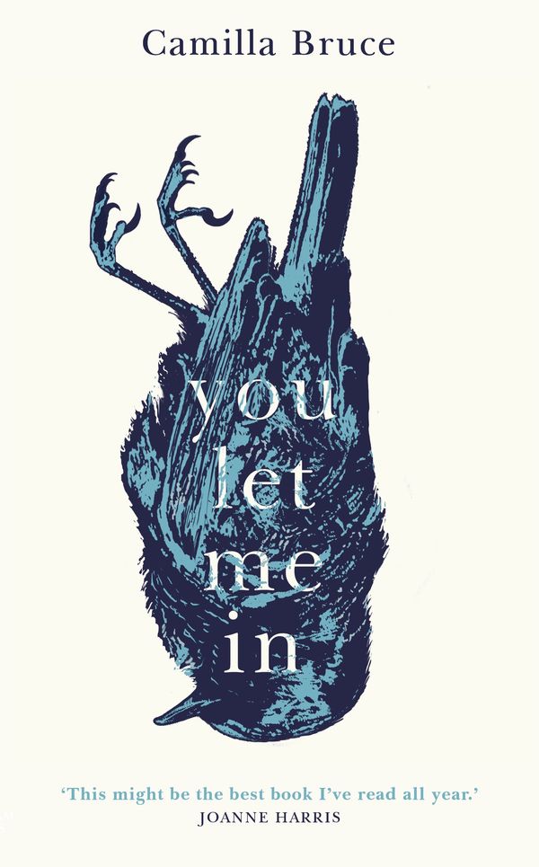 Cover Art for 9781787633179, You Let Me In by Camilla Bruce