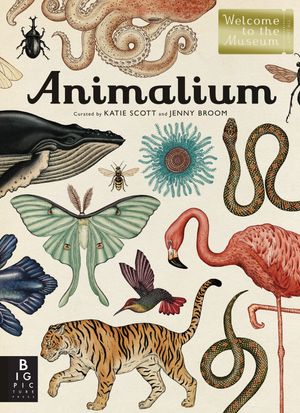 Cover Art for 9780763675080, Animalium: Jenny Broom (Welcome to the Museum) by Jenny Broom