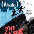 Cover Art for 9781444942972, The Dark Lady by Akala