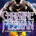 Cover Art for 9781101611579, Dark Storm by Christine Feehan