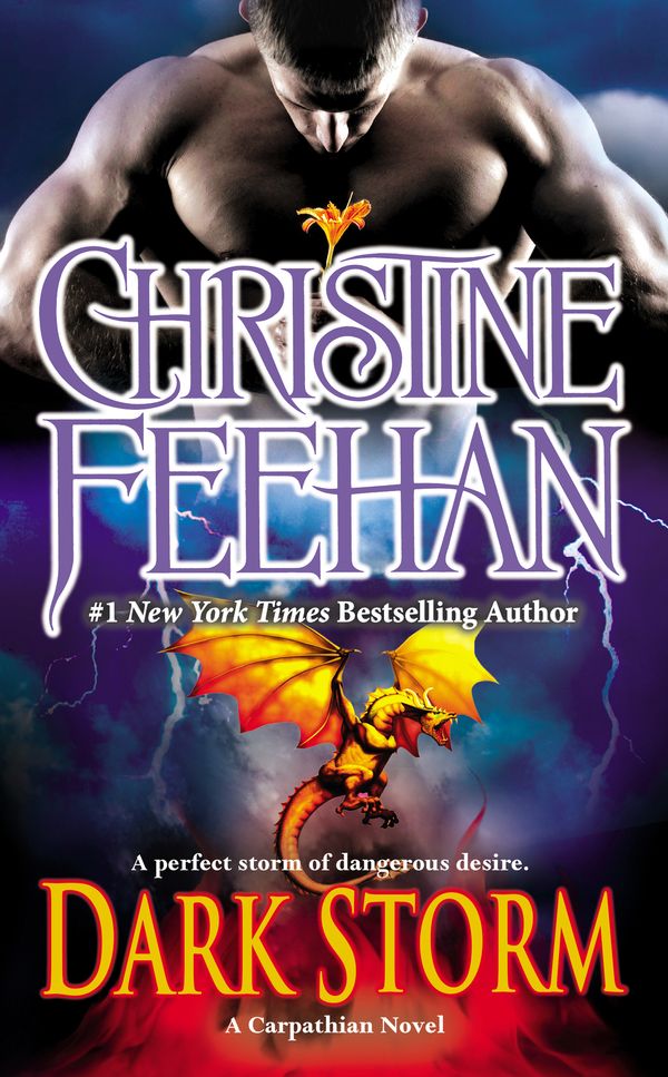 Cover Art for 9781101611579, Dark Storm by Christine Feehan