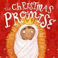 Cover Art for 9781910307113, The Christmas Promise by Alison Mitchell