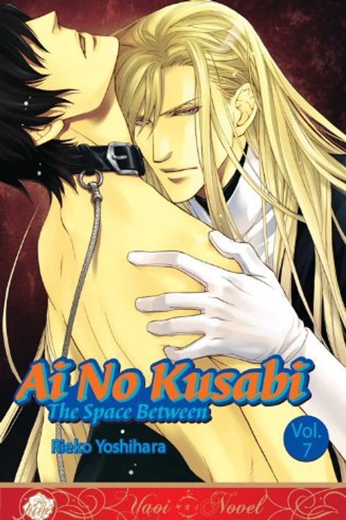 Cover Art for 9781569702697, Ai No Kusabi Volume 7 (Yaoi Novel) by Reiko Yoshihara