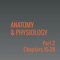 Cover Art for 9781680920321, Anatomy & Physiology: Part 2 by OpenStax