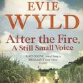 Cover Art for B0038LB3XQ, After the Fire, A Still Small Voice by Evie Wyld