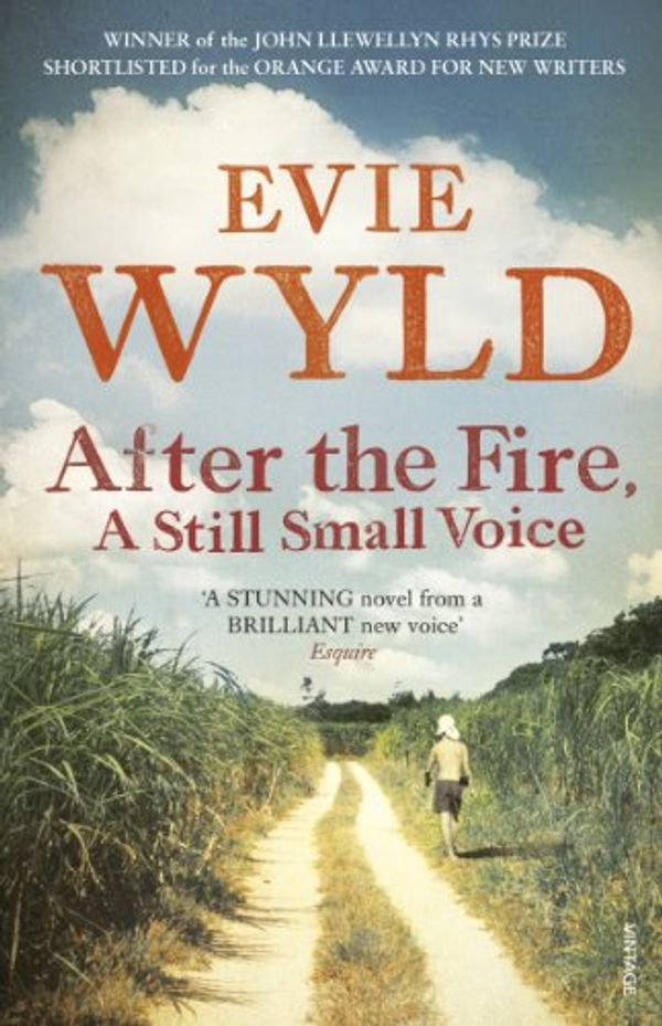 Cover Art for B0038LB3XQ, After the Fire, A Still Small Voice by Evie Wyld