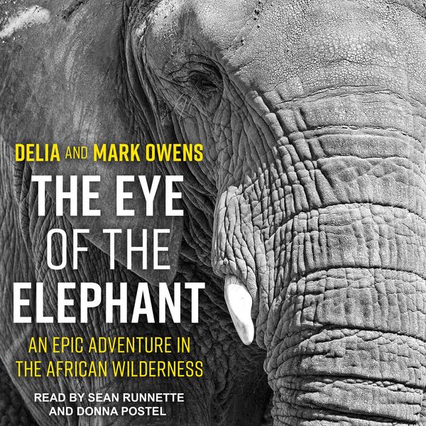 Cover Art for 9781977345646, The Eye of the Elephant by Delia Owens