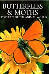 Cover Art for 9781597641142, Butterflies & Moths: A Portrait of the Animal World by Paul Sterry