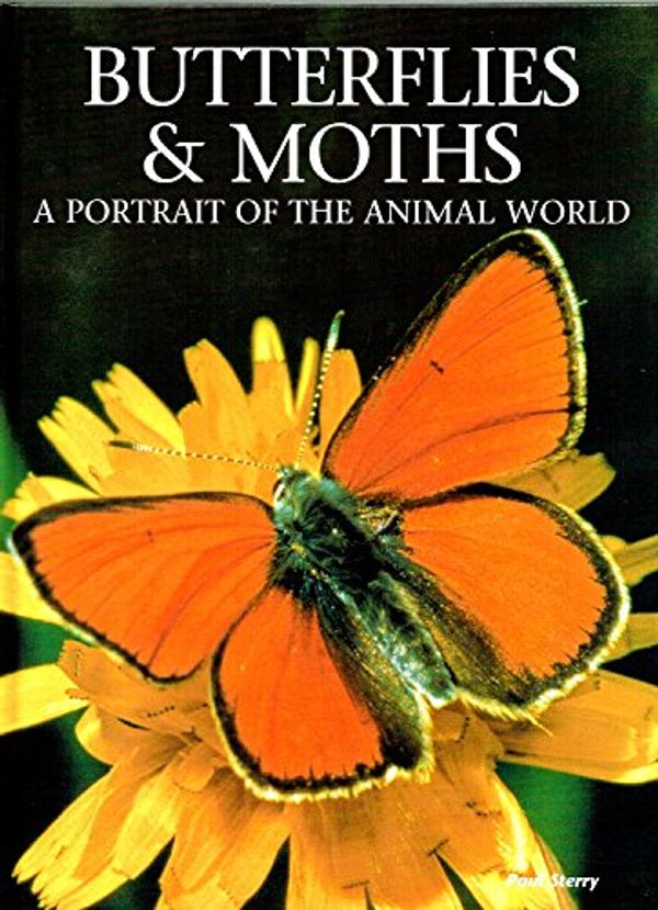 Cover Art for 9781597641142, Butterflies & Moths: A Portrait of the Animal World by Paul Sterry