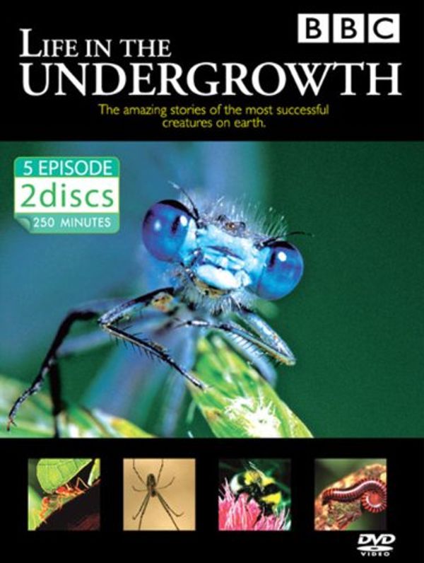 Cover Art for 8852635121665, LIFE IN THE UNDERGROWTH - BBC - David Attenborough by 