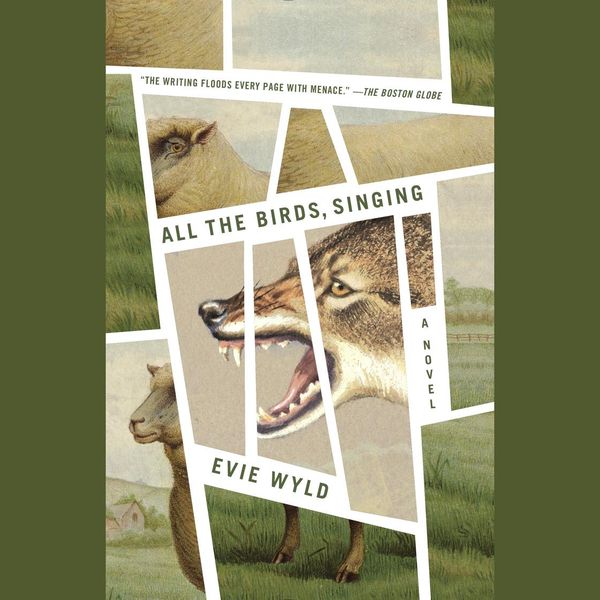 Cover Art for 9780593585238, All the Birds, Singing by Evie Wyld