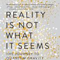 Cover Art for 9780735213937, Reality Is Not What It Seems by Carlo Rovelli