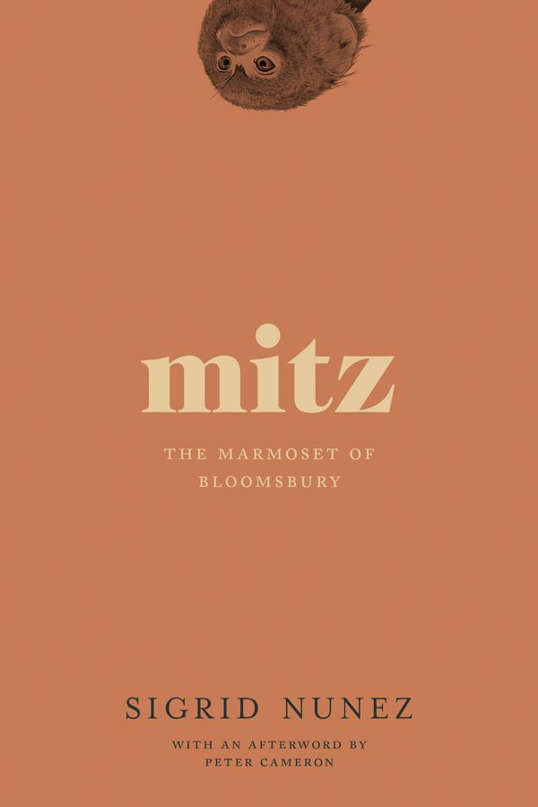 Cover Art for 9781593765828, Mitz: The Marmoset of Bloomsbury by Sigrid Nunez