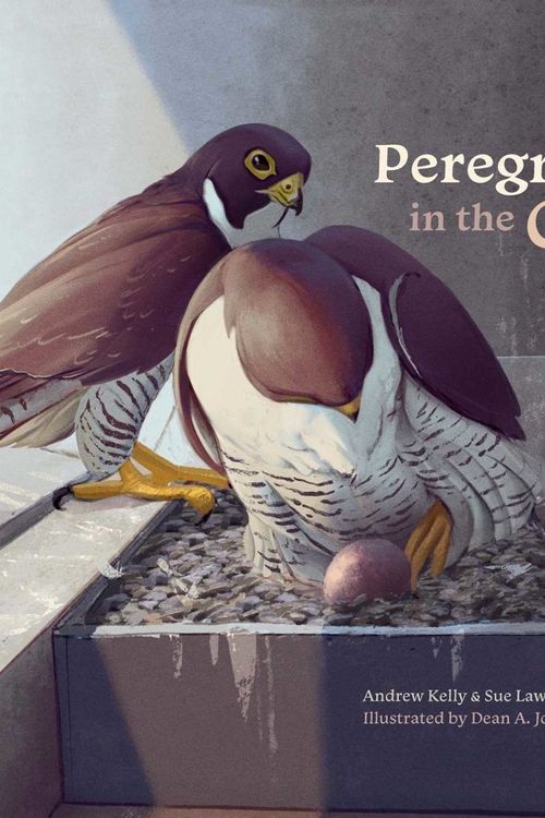 Cover Art for 9781742036519, Peregrines 367 by Kelly, Andrew, Lawson, Sue