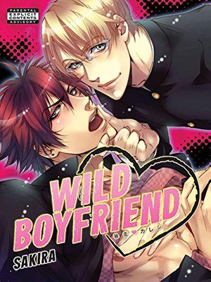 Cover Art for 9781934129876, Wild Boyfriend by Sakira
