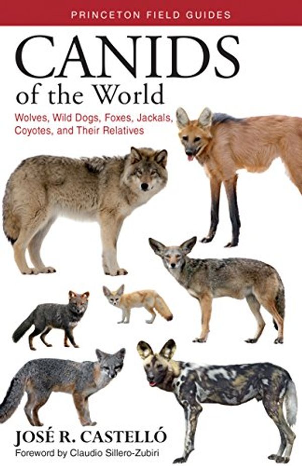 Cover Art for B07DWKZWXS, Canids of the World: Wolves, Wild Dogs, Foxes, Jackals, Coyotes, and Their Relatives (Princeton Field Guides Book 135) by Castelló, José R.