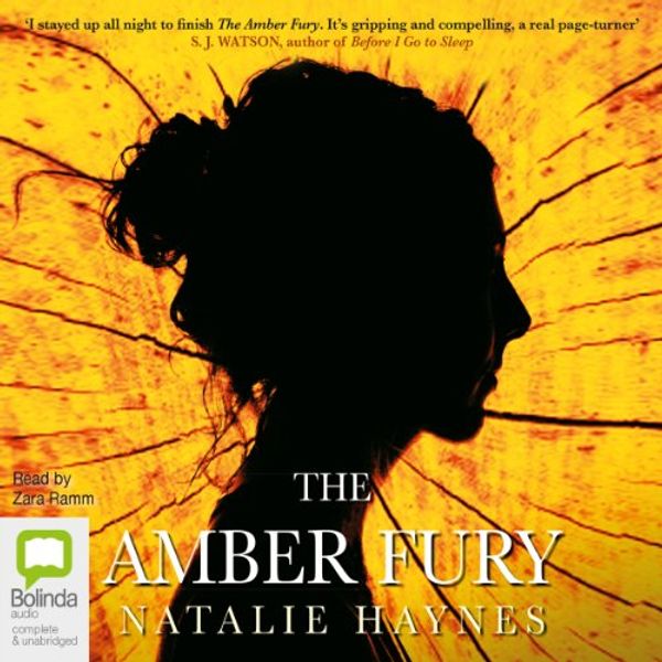 Cover Art for B00NPAYGFW, The Amber Fury by Natalie Haynes