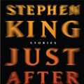 Cover Art for 9781594133503, Just After Sunset by Stephen King