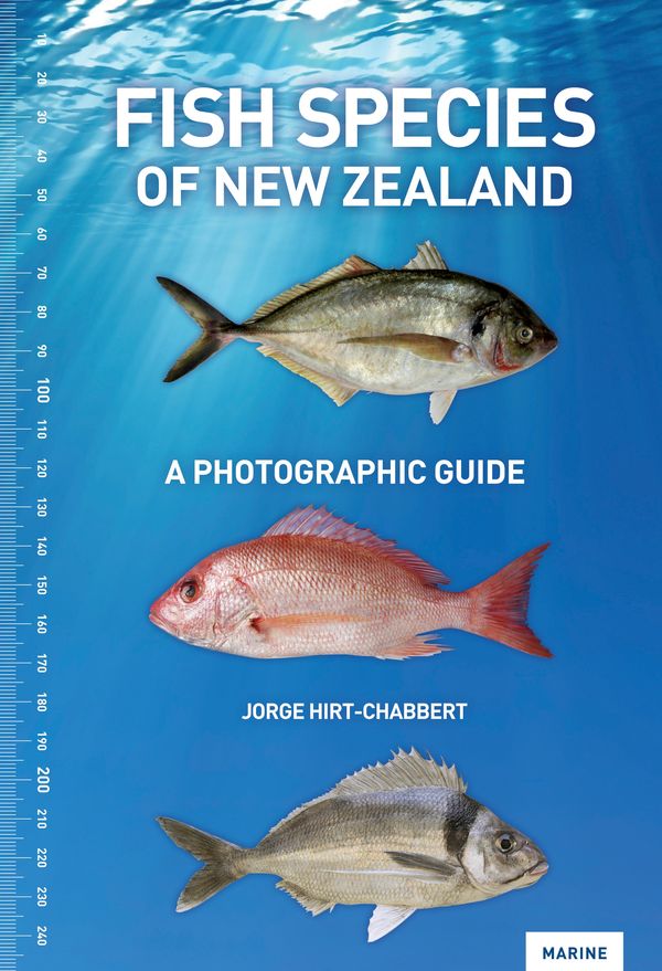 Cover Art for 9780143010951, Fish Species of New Zealand: A Photographic Guide by Jorge Hirt-Chabbert