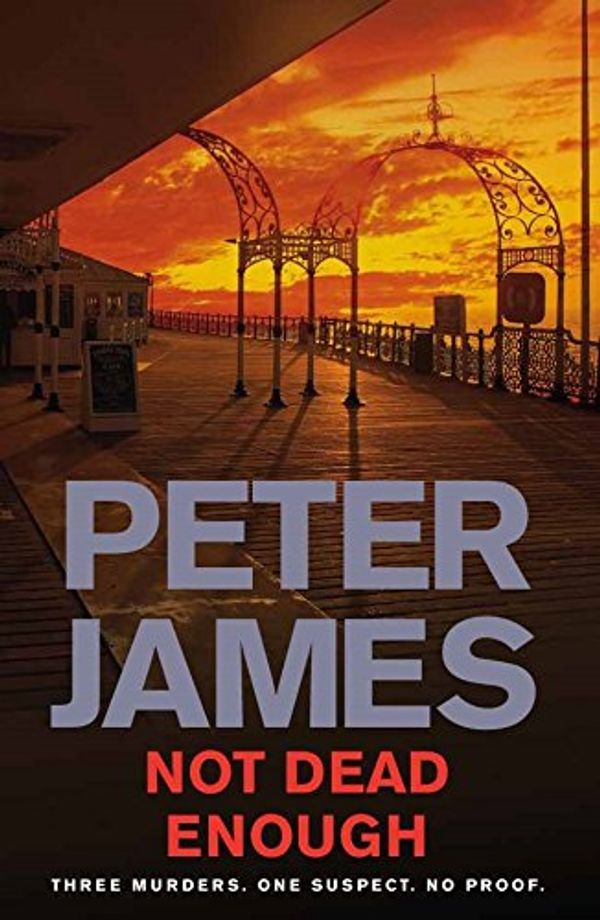 Cover Art for 9781405092036, Not Dead Enough by Peter James