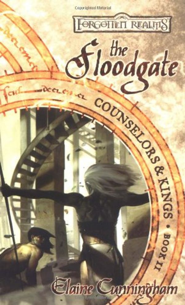 Cover Art for 9780786918188, The Floodgate by Elaine Cunningham
