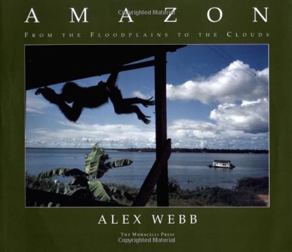 Cover Art for 9781885254771, Amazon by Alex Webb