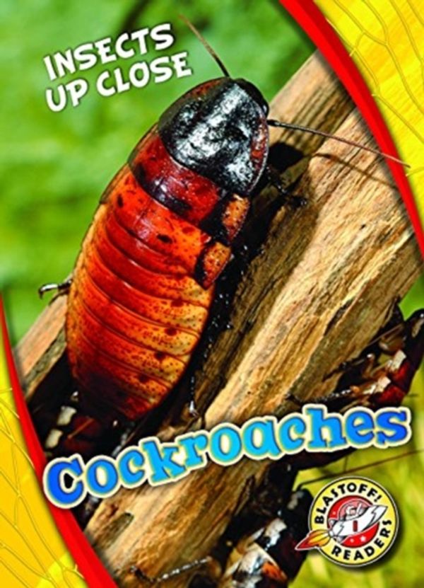Cover Art for 9781626178021, CockroachesInsects Up Close by Patrick Perish