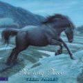 Cover Art for 9780061890727, Phantom Stallion #2: Mustang Moon by Terri Farley