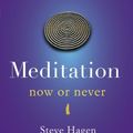Cover Art for B008BSMYT8, Meditation Now or Never by Steve Hagen