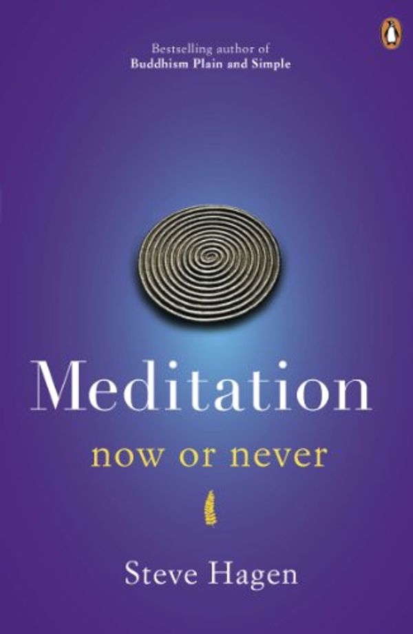 Cover Art for B008BSMYT8, Meditation Now or Never by Steve Hagen