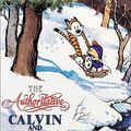 Cover Art for 0050837111028, The Authoritative Calvin and Hobbes (A Calvin And Hobbes Treasury) by Bill Watterson