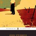 Cover Art for 9781417747818, The Grapes of Wrath by John Steinbeck