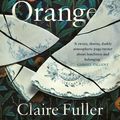 Cover Art for 9780241341834, Bitter Orange by Claire Fuller