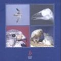 Cover Art for 9783830440192, Birds of Prey by Manfred Heidenreich