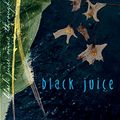 Cover Art for 9781865088266, Black Juice by Margo Lanagan