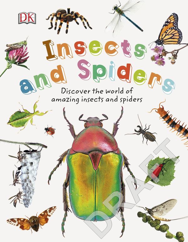 Cover Art for 9780241358276, Insects and Spiders: Discover the World of Amazing Insects and Spiders (Nature Explorers) by DK