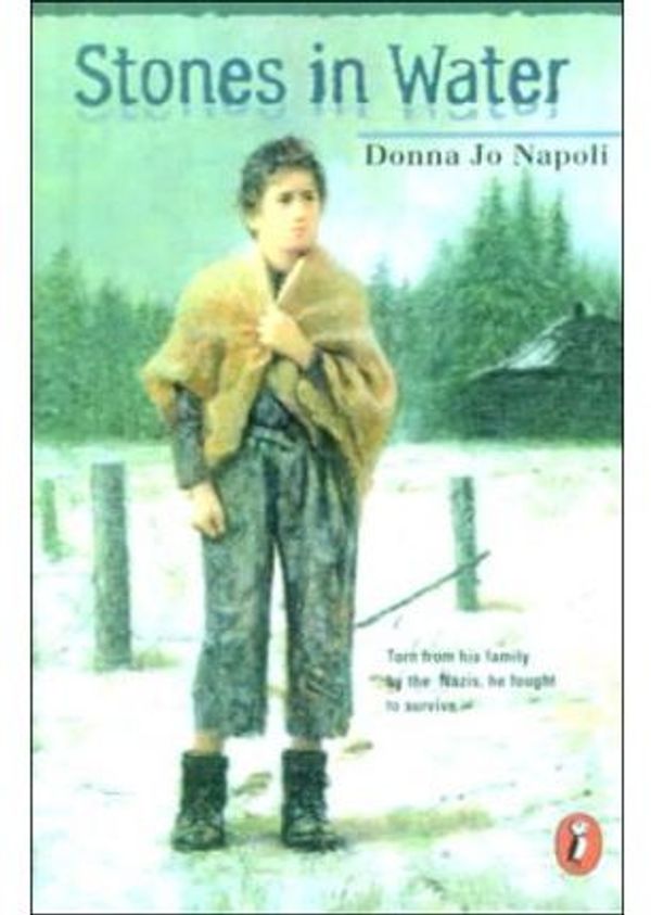 Cover Art for 9780606172622, Stones in Water by Donna Jo Napoli